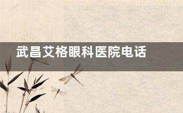 武昌艾格眼科医院电话多少？027-8718888秒查秒拨|24小时在线询问挂号/急诊求助/术后跟踪服务指南